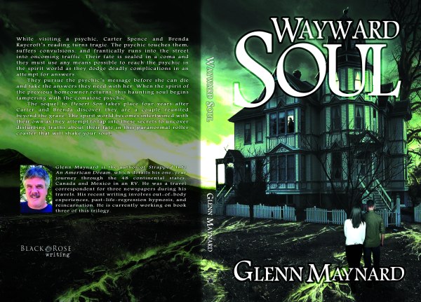 Wayward Soul full cover